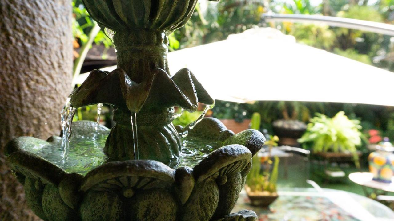 El Jardin Del Eden B&B Boutique Cuernavaca Kültér fotó